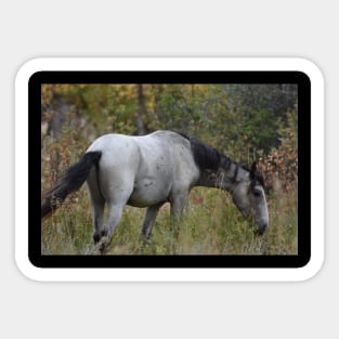 Grey Wild Horse Sticker